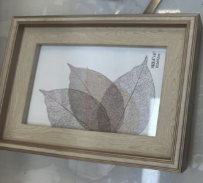 Modern Beige Rectangular Display Frame
